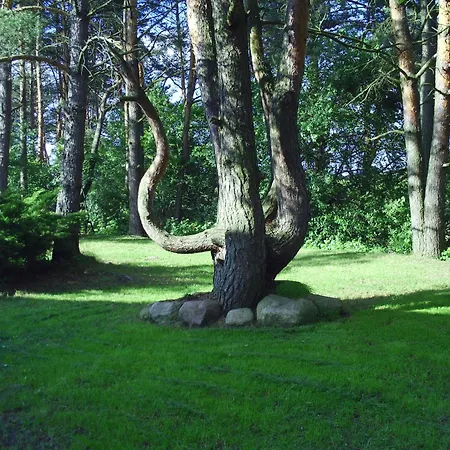 Dom Nad Jeziorem Omulew Hébergement de vacances