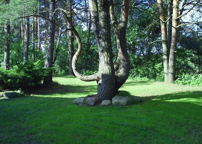 Dom Nad Jeziorem Omulew Holiday home